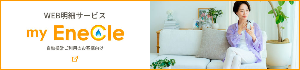 web明細サービス my Enecle